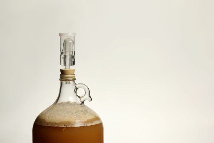 9 Popular Types of Beer to Home Brew_Sound Brewery