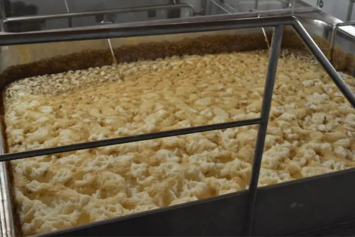 6 Best Fermentation Chambers_Sound Brewery
