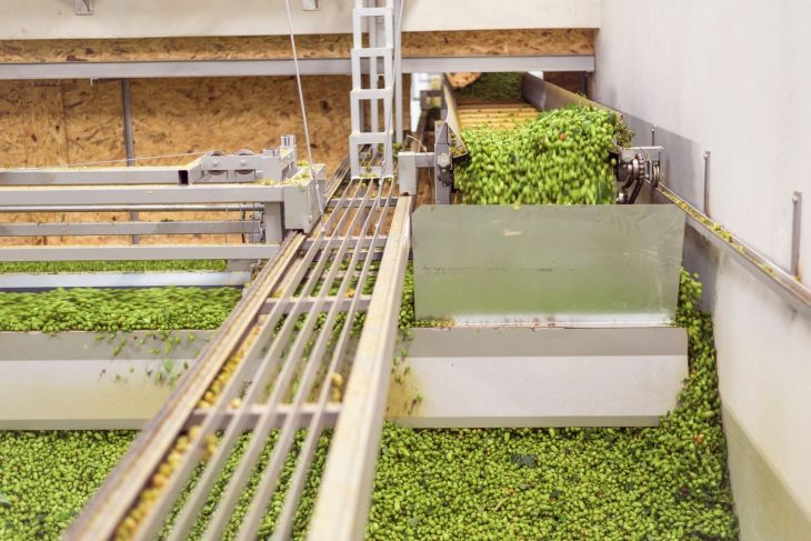 Dry Hopping Your Beer Like a Pro_Sound Brewery
