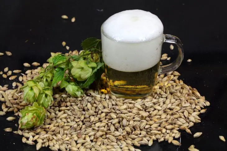 Dry Hopping Your Beer Like a Pro_Sound Brewery