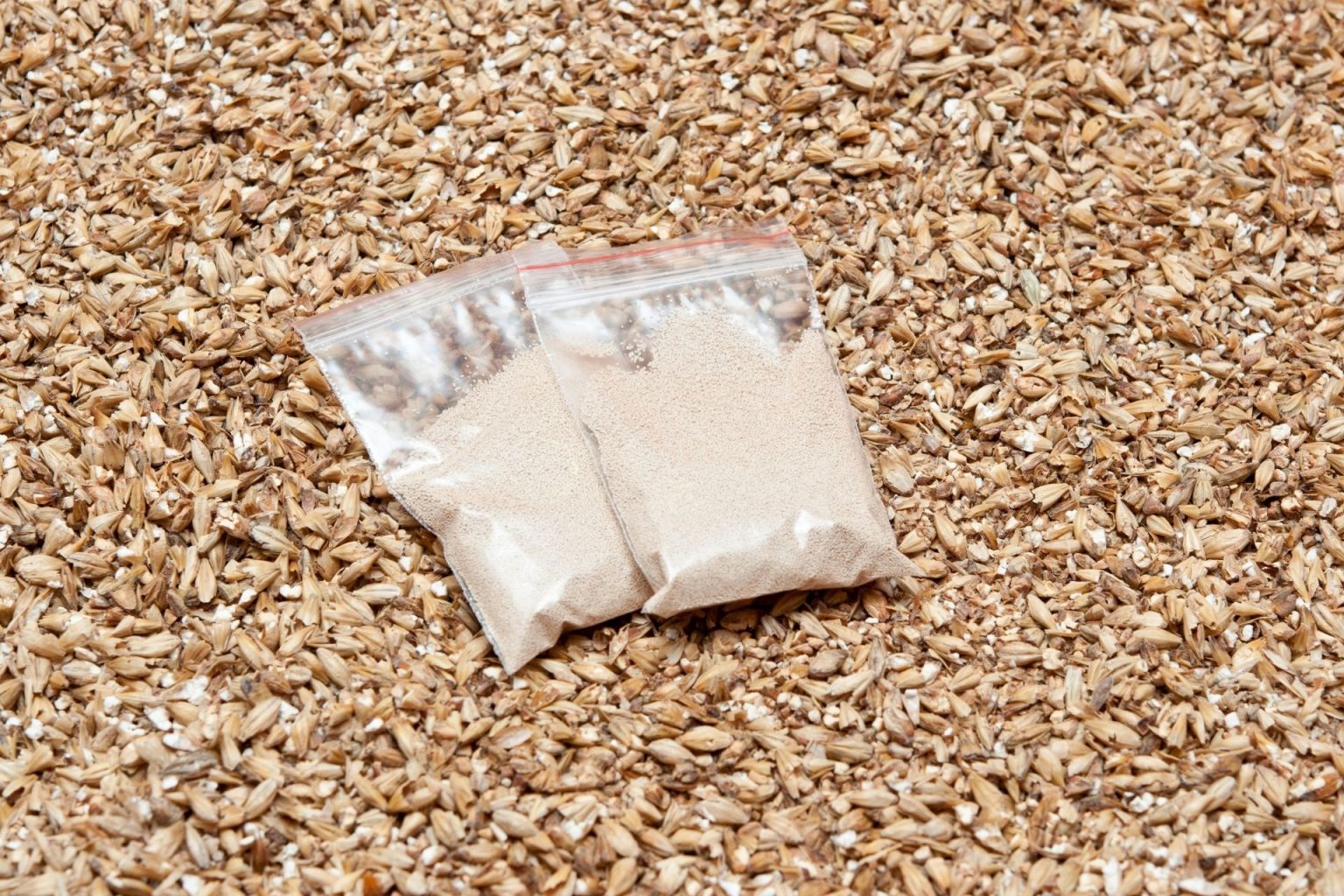 Brewer’s Yeast vs Baker’s Yeast For Bread