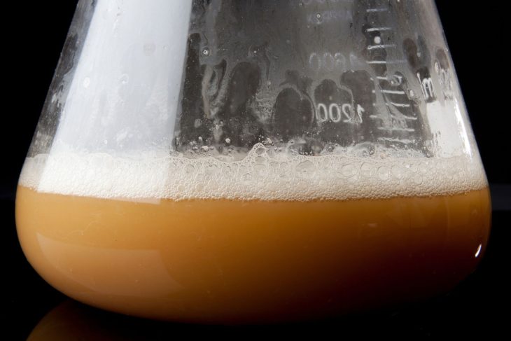 How to Make a Yeast Starter For Your Homebrew_Sound Brewery