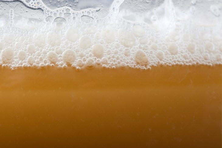 How to Make a Yeast Starter For Your Homebrew_Sound Brewery