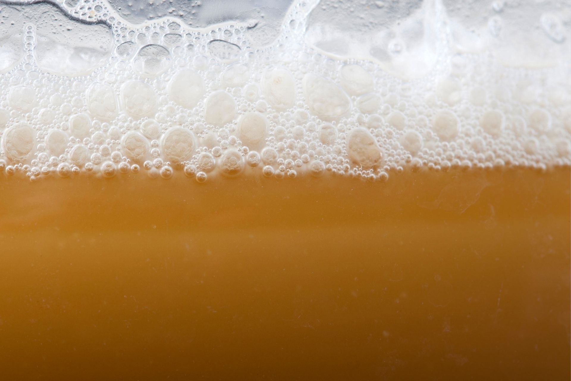 How to Make a Yeast Starter For Your Homebrew
