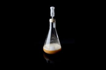 How to Make a Yeast Starter For Your Homebrew