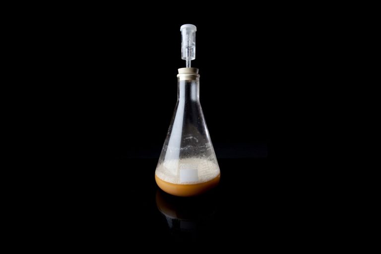 How to Make a Yeast Starter For Your Homebrew_Sound Brewery