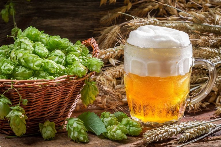 The Complete Guide to Growing Hops At Home_Sound Brewery