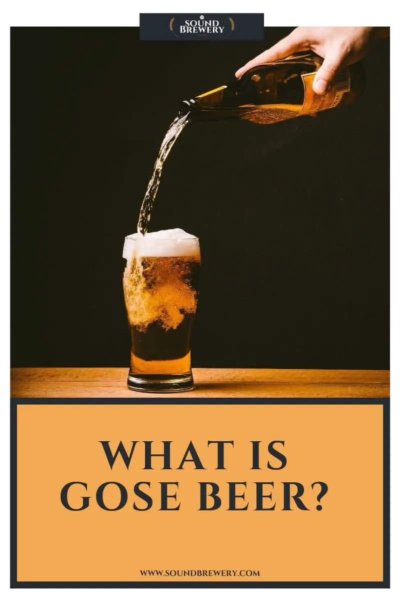 What is Gose Beer? How Do You Pronounce ‘Gose’?