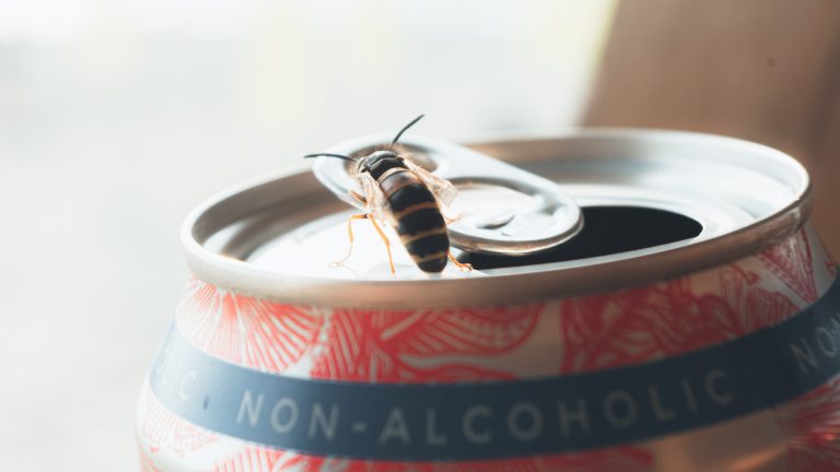 What's the point of non alcoholic beer?