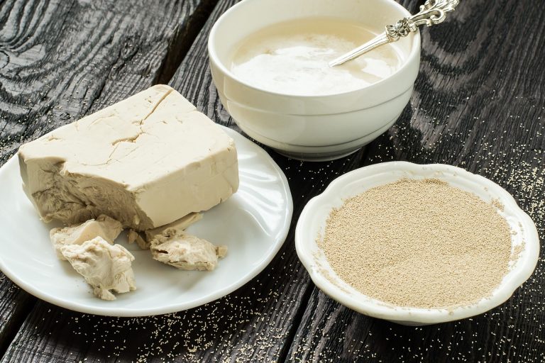 Dry Yeast vs Liquid Yeast Which is Better_Sound Brewery