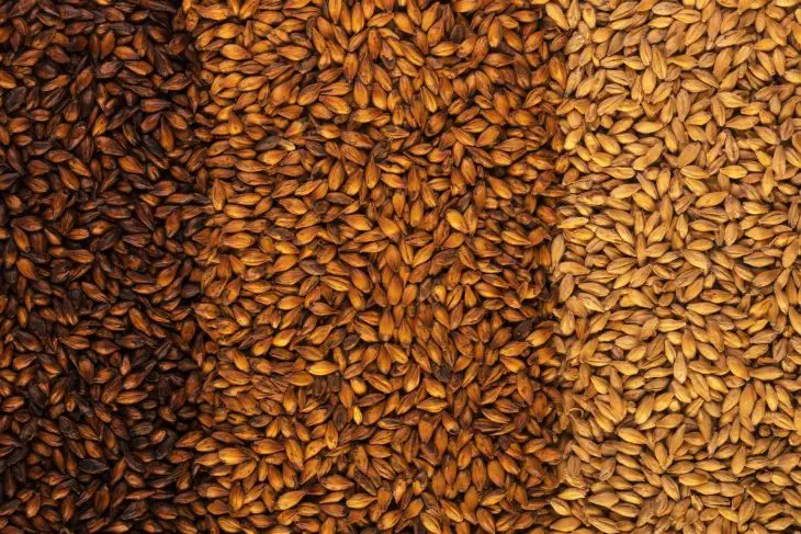 Ultimate Guide to Roasted Malt Diy_soundbrewery