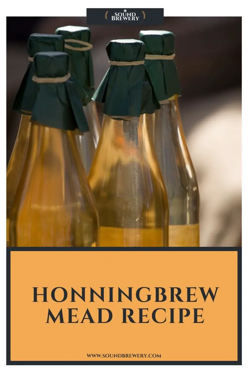 Here’s For The Geeks Honningbrew Mead Recipe