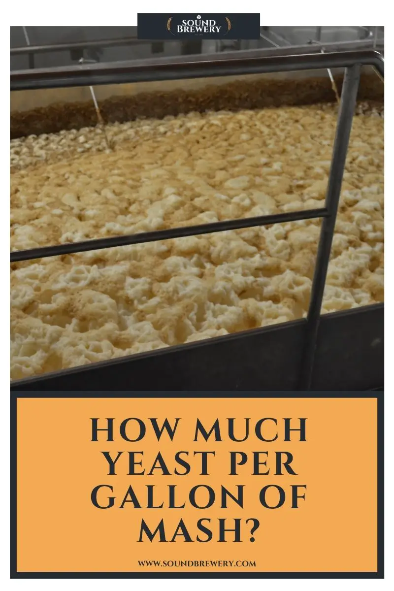 How Much Yeast Per Gallon of Mash?