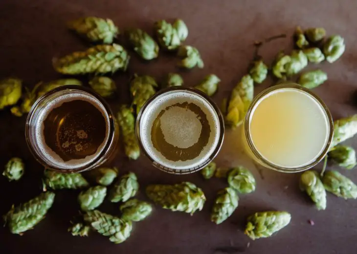 Yellow Jacket Beer - A Cool History of Coors Banquet Beer & Pull-Tab Cans