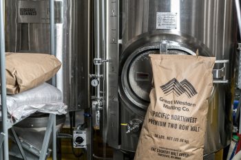 What is the Best Brewing Sanitizer?