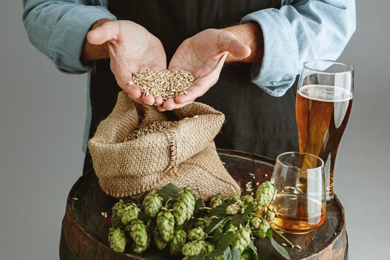 How And When To Harvest Hops