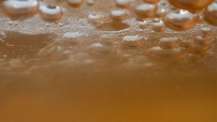 fermentation chamber