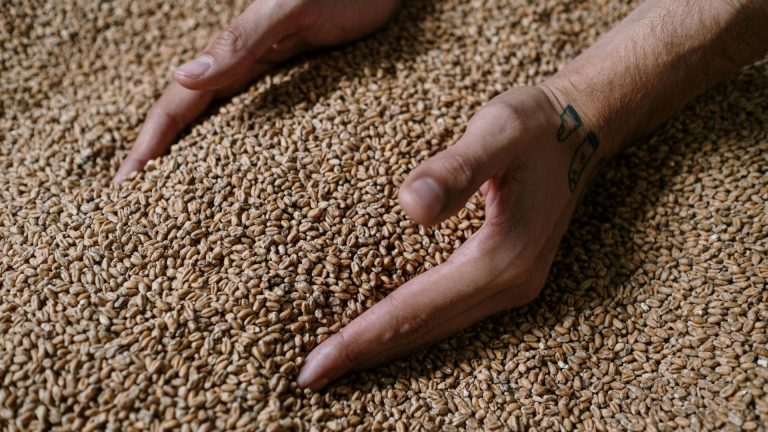 crystal malt vs caramel malt