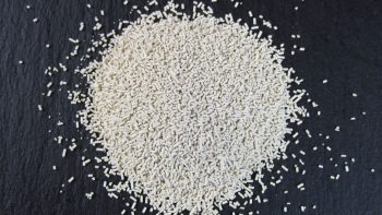 How to Harvest and Reuse Yeast: A Step-by-Step Brewing Guide