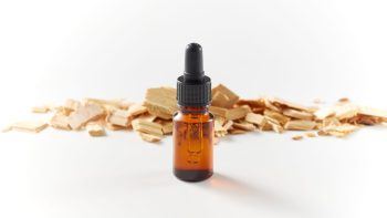 8 Powerful Oak Alternatives for Brewing (Without the Barrel-Sized Investment)