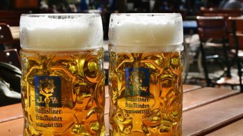 Phenolic Off Flavors: How to Prevent Band-Aid Beer