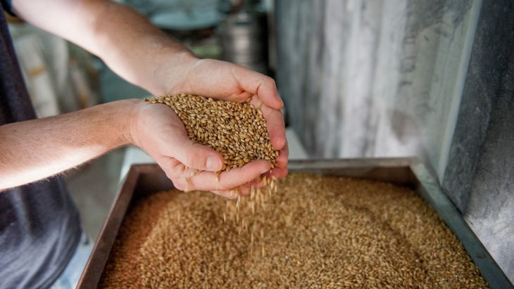 malt specifications