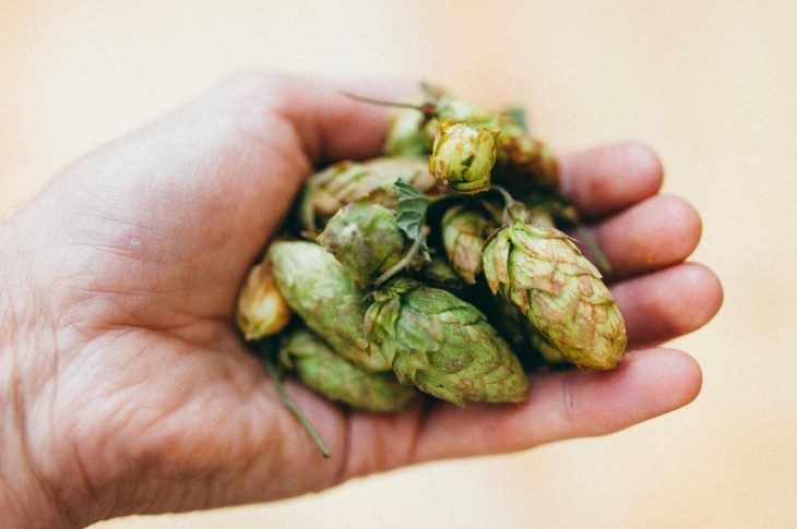 what are cryo hops