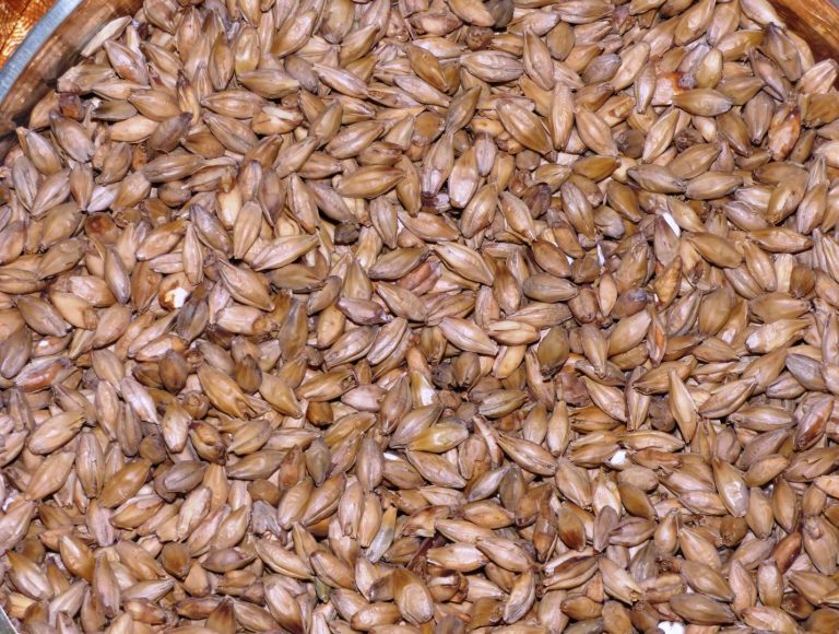 steeping grains