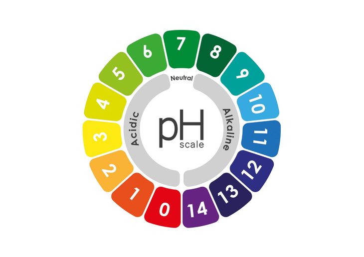 pH strips vs pH meter brewing